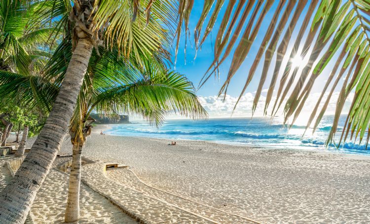 Plage de la Réunion