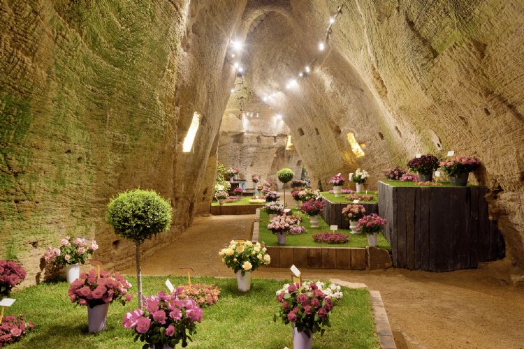 Journées de la Rose à Doué-la-Fontaine