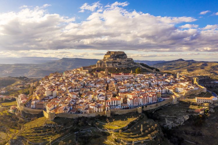 Morella