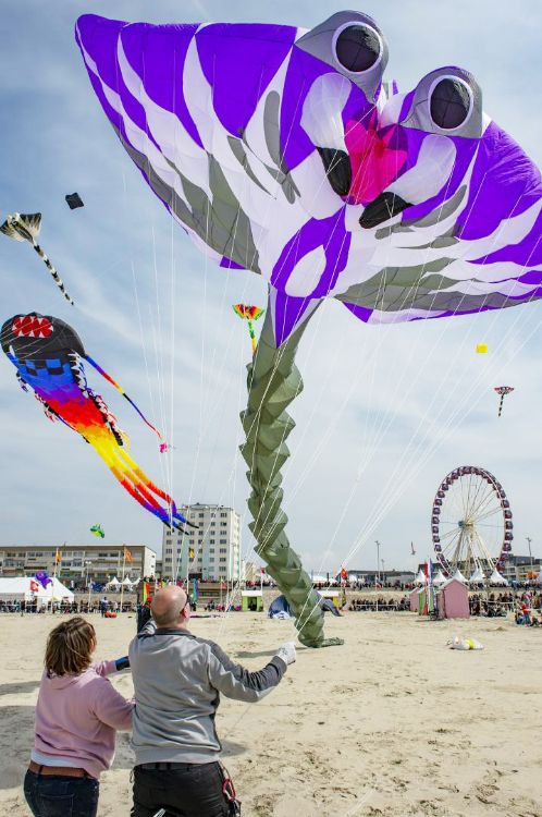 Rencontres Internationales de Cerfs-Volants de Berck-sur-Mer
