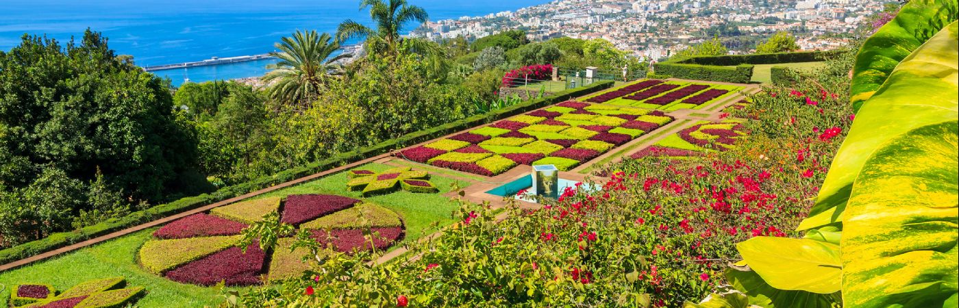 Le jardin botanique de Funchal